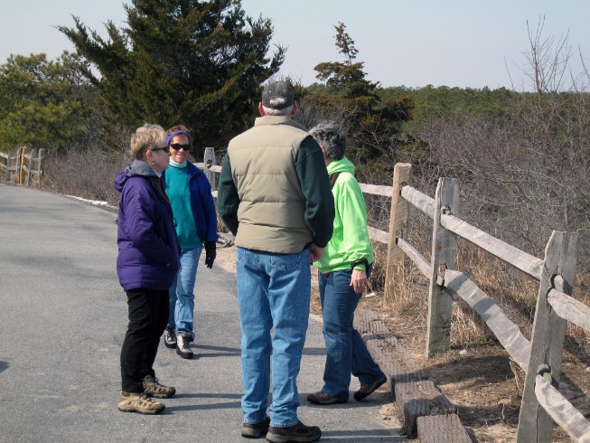 Up on the overlook